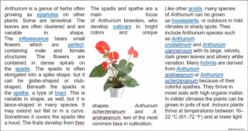 Textumbruch in PowerPoint