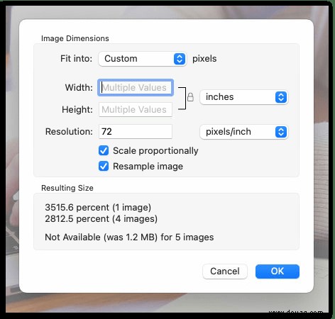 So ändern Sie die Bildgröße auf einem Mac im Stapelbetrieb