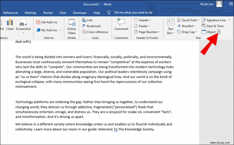 Einfügen einer PDF-Datei in Word