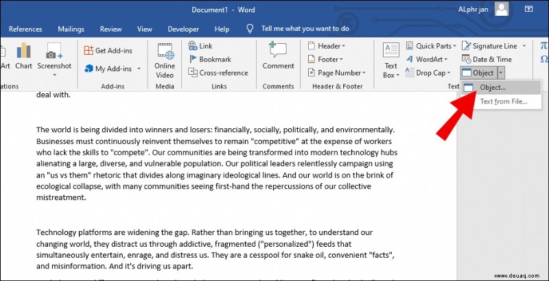 Einfügen einer PDF-Datei in Word