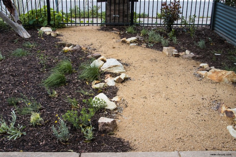 Um den perfekten Schmetterlingsgarten anzulegen, füllte Koren ihren Vorgarten mit einheimischen Pflanzen