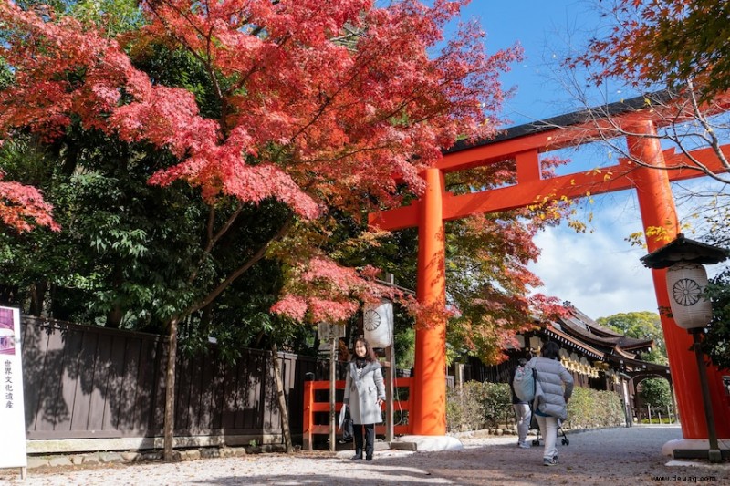 Planen Sie eine Reise nach Japan? Folgendes müssen Sie wissen