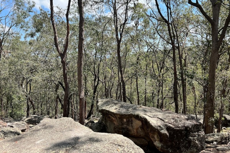 Die besten kostenlosen Naturwanderungen in und um Brisbane 