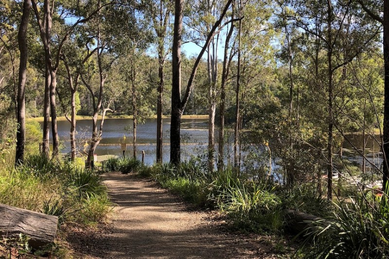 Die besten kostenlosen Naturwanderungen in und um Brisbane 