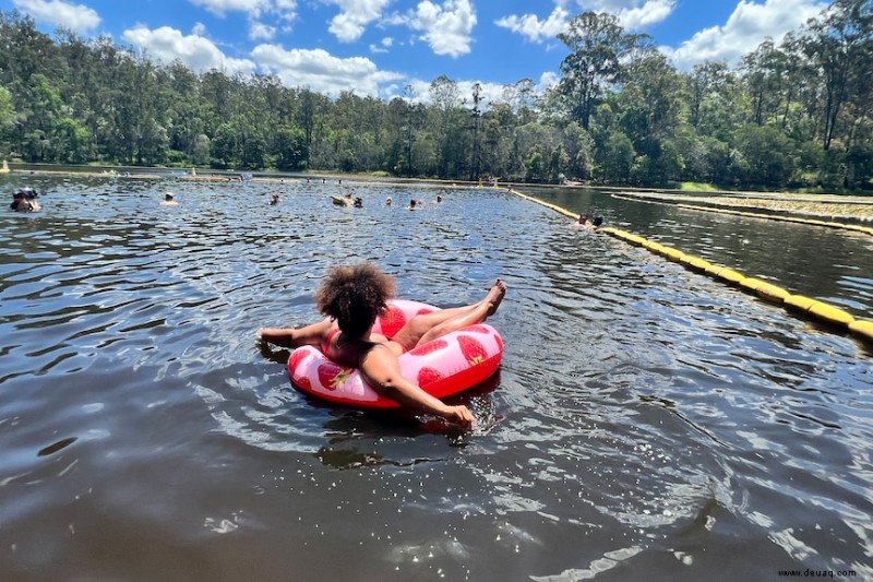 Die besten kostenlosen Naturwanderungen in und um Brisbane 