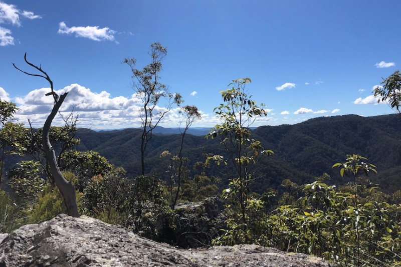 Die besten kostenlosen Naturwanderungen in und um Brisbane 