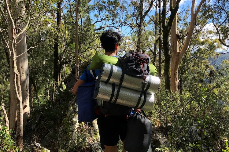 Die besten kostenlosen Naturwanderungen in und um Brisbane 