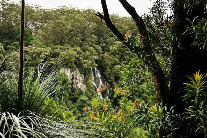 Die besten kostenlosen Naturwanderungen in und um Brisbane 