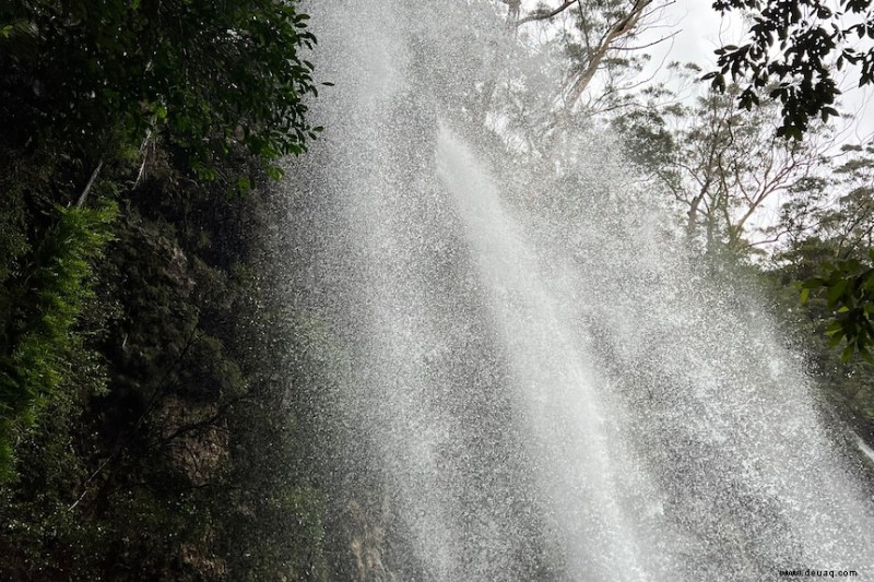 Die besten kostenlosen Naturwanderungen in und um Brisbane 