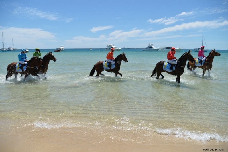 Urlaub mit dem Zug von Perth 