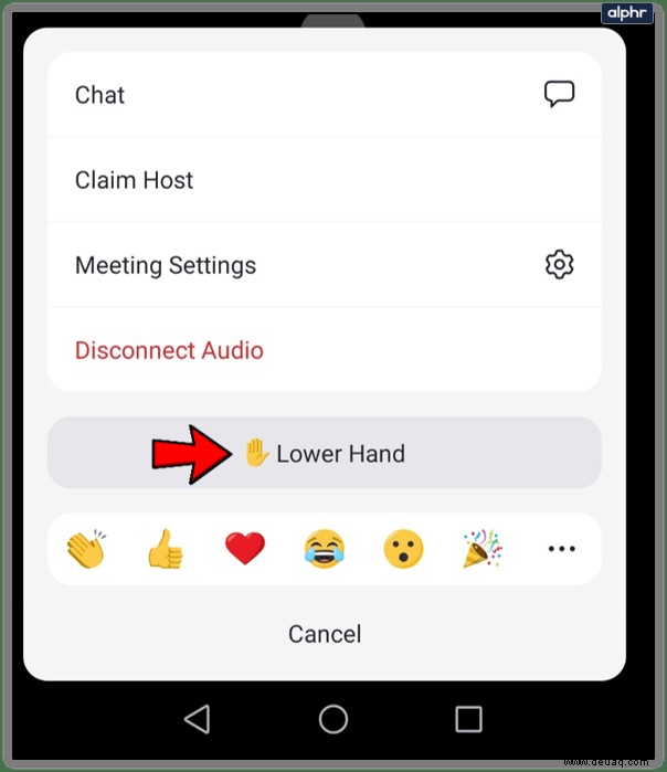 Wie man in Zoom die Hand hebt