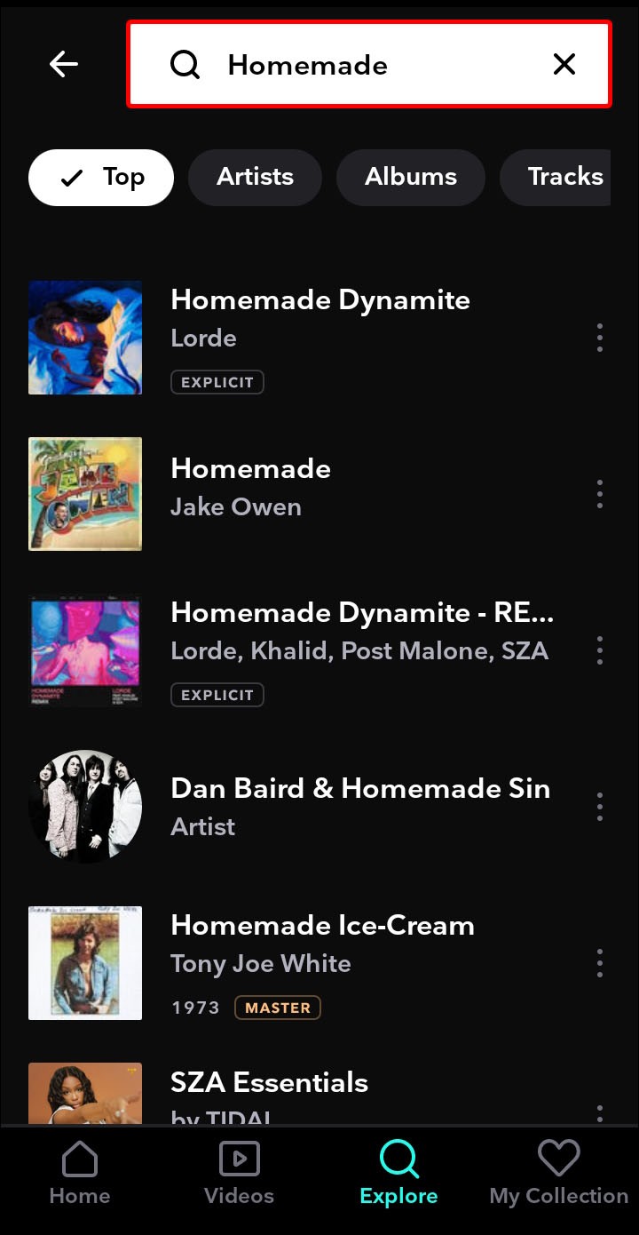 So blockieren Sie einen Künstler in Tidal