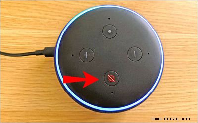 So aktualisieren Sie die Alexa-App auf einem PC