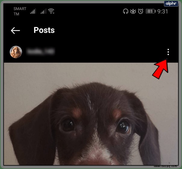 Können Sie einen Filter nach dem Posten in Instagram bearbeiten