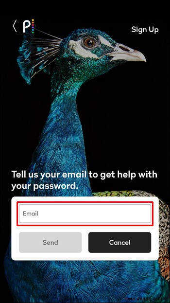 So setzen Sie ein Passwort für Peacock TV zurück