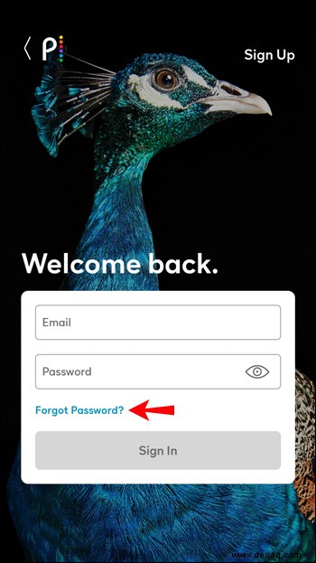 So setzen Sie ein Passwort für Peacock TV zurück