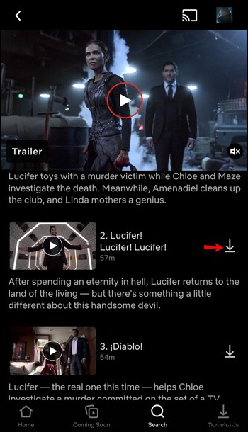 So laden Sie eine ganze Staffel auf Netflix herunter