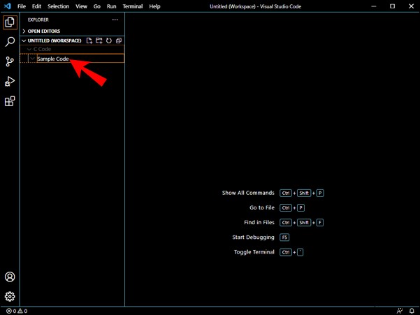 So führen Sie Code in VS-Code aus