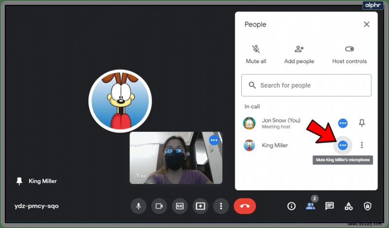 So schalten Sie alle bei Google Meet stumm