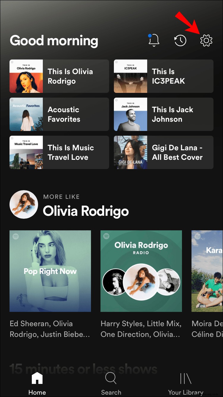 So aktivieren Sie den Automodus in Spotify