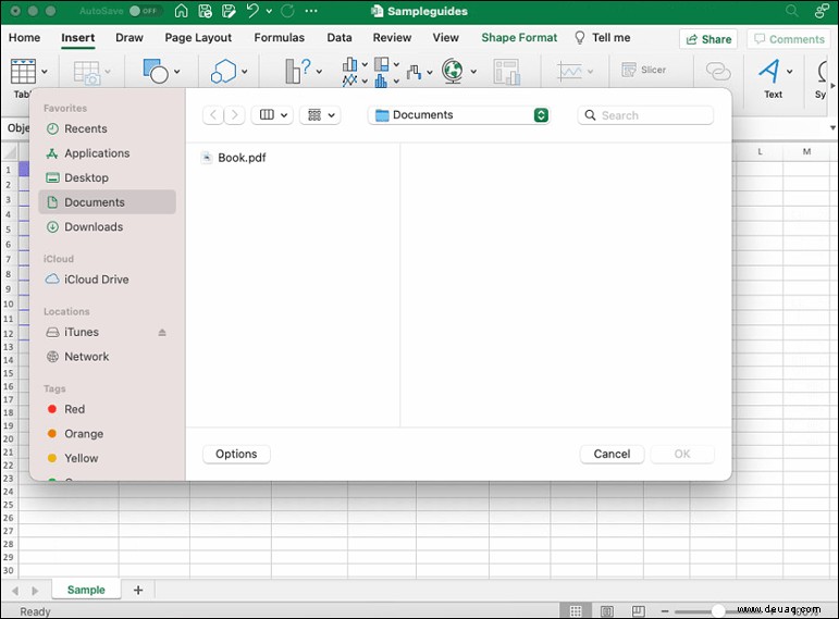 Einbetten einer PDF-Datei in eine Excel-Datei