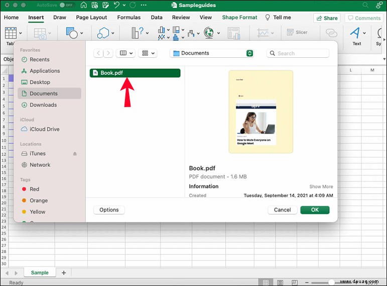 Einbetten einer PDF-Datei in eine Excel-Datei