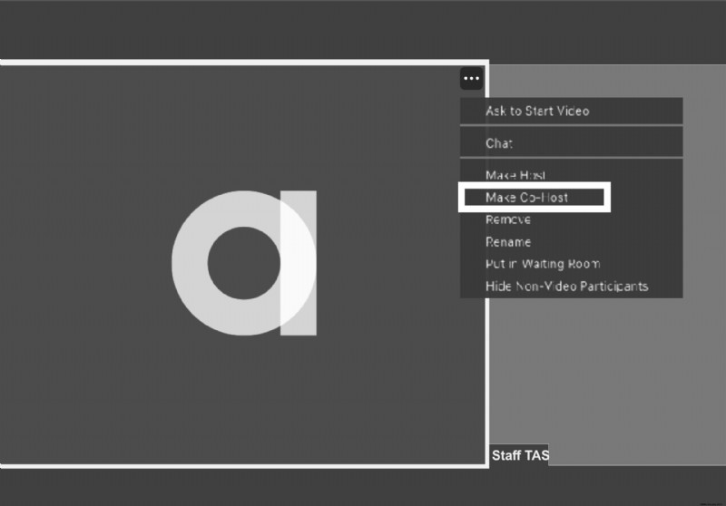 So erstellen Sie einen Co-Host auf Zoom