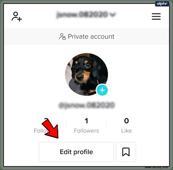 So ändern Sie Ihr TikTok-Profilbild