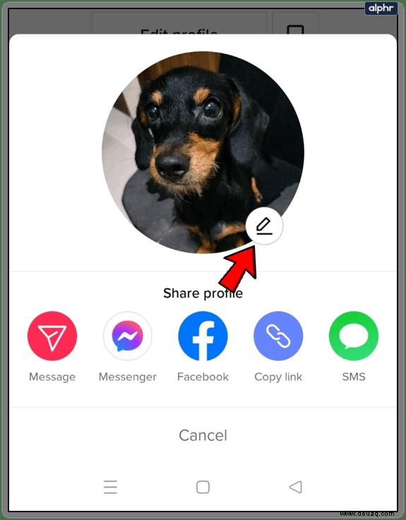 So ändern Sie Ihr TikTok-Profilbild