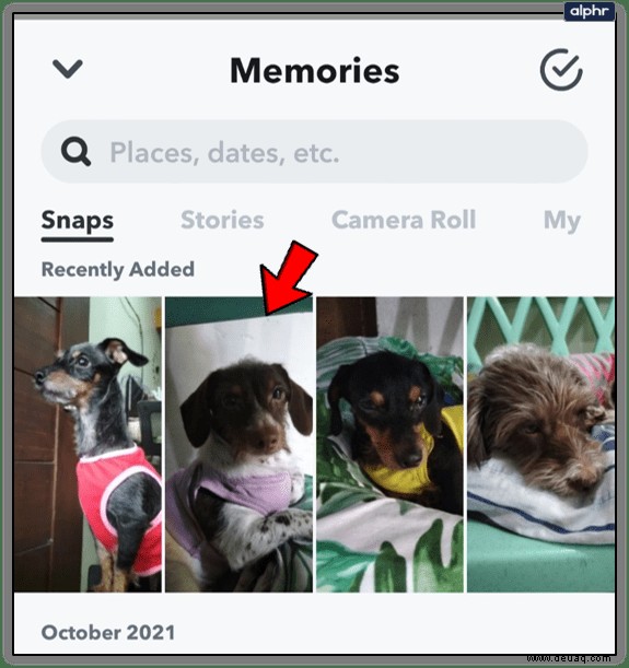 So exportieren Sie alle Erinnerungen in Snapchat