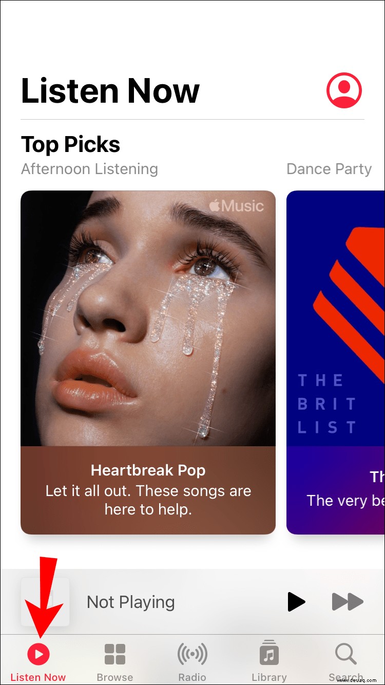 So zeigen Sie Ihre meistgespielten Play-Songs in Apple Music an