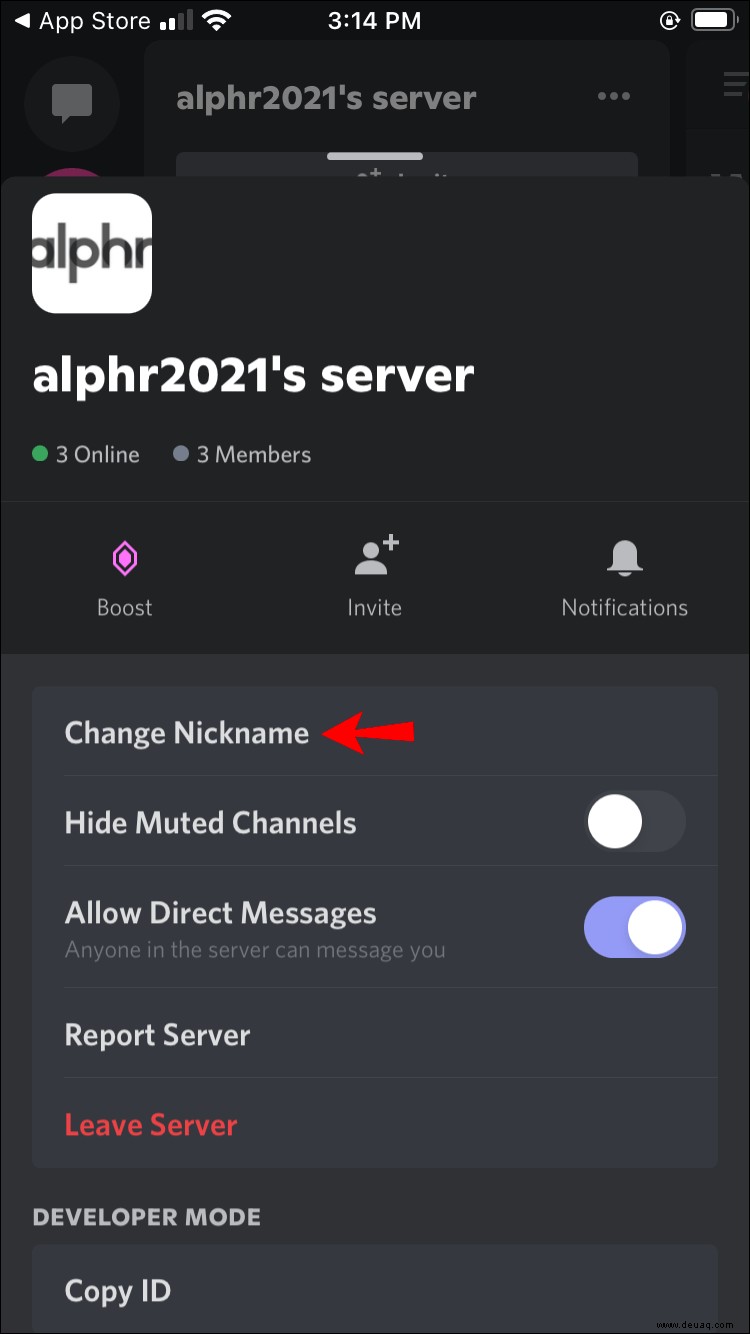 So erstellen Sie einen unsichtbaren Discord-Namen 