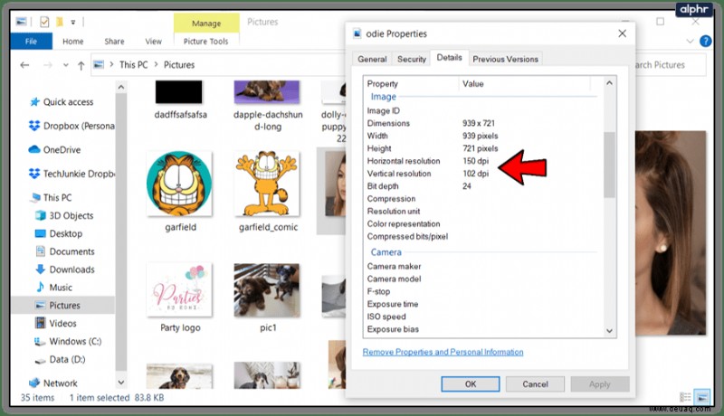 So überprüfen Sie die DPI eines Bildes 