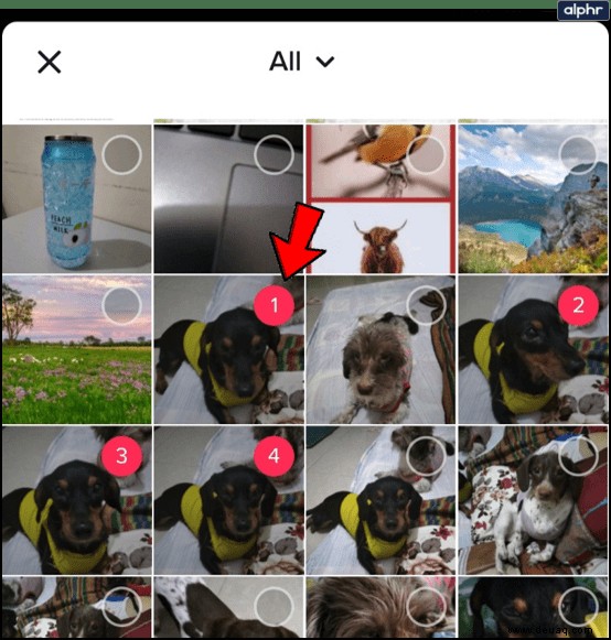 So erstellen Sie eine Fotocollage für die Tik Tok-App