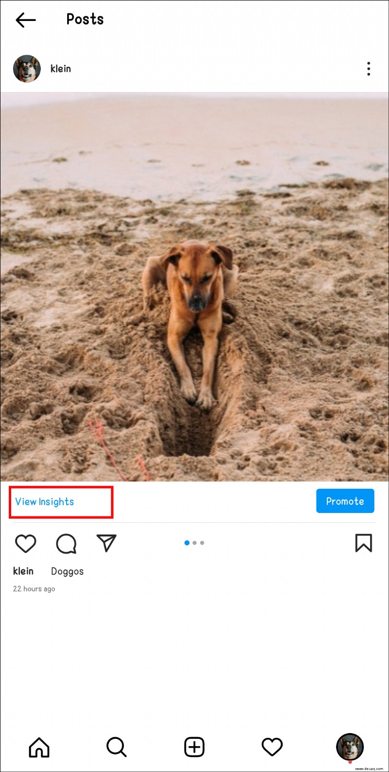 So überprüfen Sie, wer einen Beitrag auf Instagram erneut gepostet hat