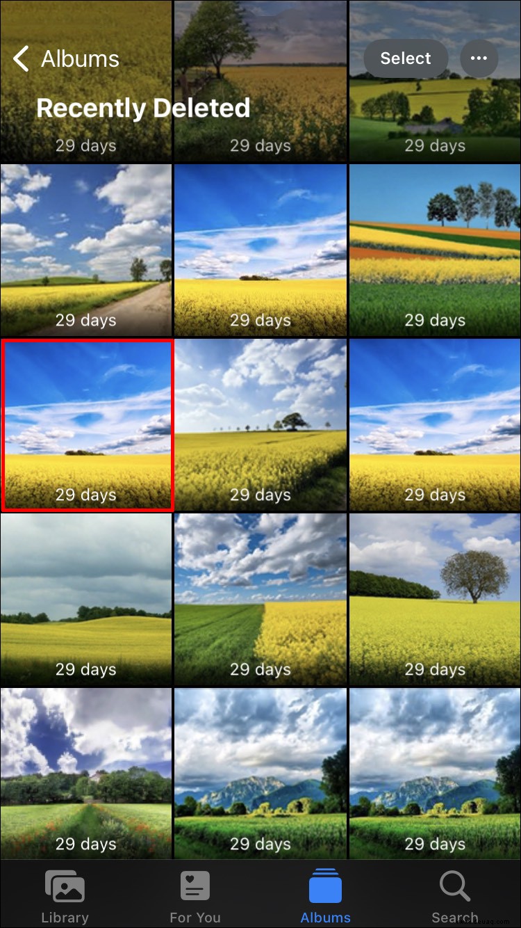 So verschieben Sie Fotos in ein Album auf einem iPhone