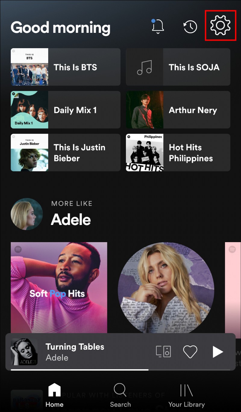 So aktivieren oder deaktivieren Sie die Leinwand in Spotify