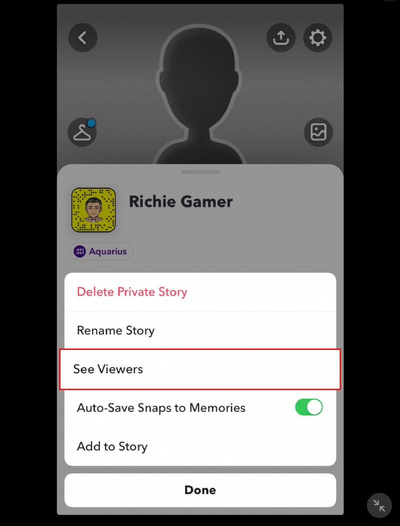 So überprüfen Sie, ob jemand Ihre private Story in SnapChat hinterlassen hat