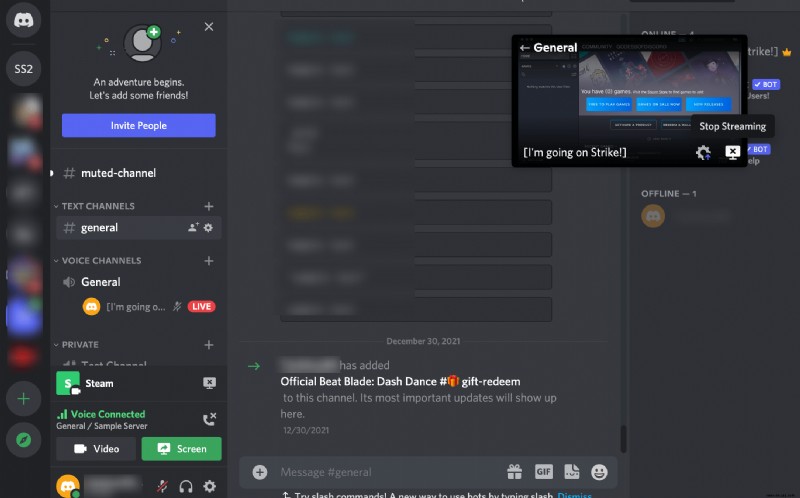 Wie man in Discord live geht