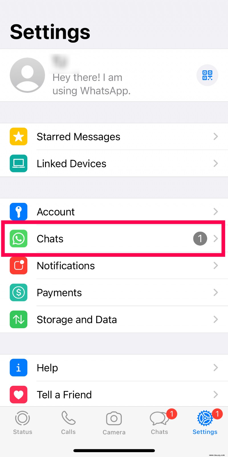 So sichern Sie WhatsApp-Nachrichten auf einem iPhone