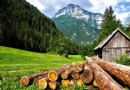 Urlaub in den Alpen: Balsam für die Seele